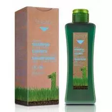 Медовый шампунь Honey Shampoo Scalp Care