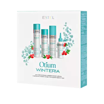 Набор 4 Winteria