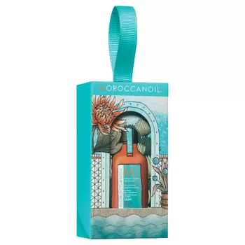 Набор Stocking Stuffer Ornament 2024 Light