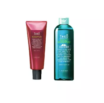 Набор Уход за волосами и кожей головы для мужчин Theo Care