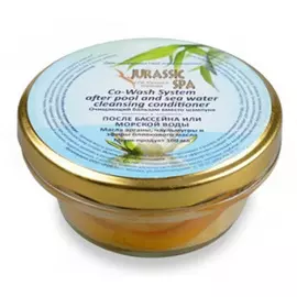 Очищающий бальзам вместо шампуня после морской воды и бассейна Co-Wash System