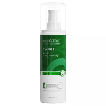 Очищающий гель с экстрактом чайного дерева Tea Tree Face Wash