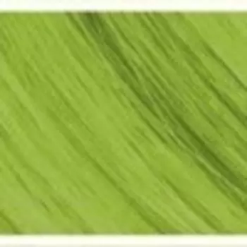 Оттеночная крем-маска с маслом Инка-Инчи Mad Head Mask (72022, 05, Лайм, 500 мл)