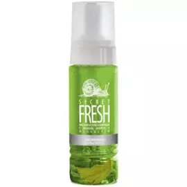 Пенка мицеллярная тонизирующая с муцином, имбирем и женьшенем Secret Fresh