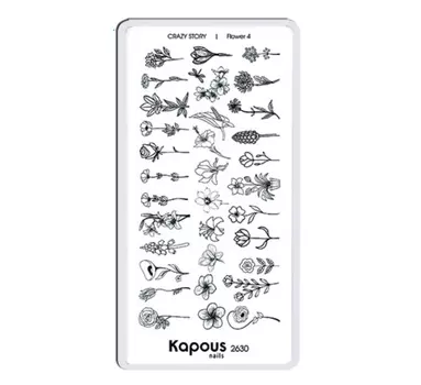 Пластина для стемпинга «Crazy story» (2630, cs_46, Flower 4, 1 шт)