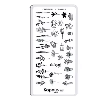 Пластина для стемпинга «Crazy story» (2631, cs_47, Botanics , 1 шт)