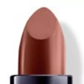 Помада для губ Lipstick (420005973, 13, темно-бежевая бромелия, 4,1 г)
