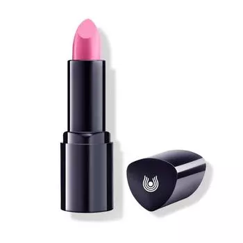 Помада для губ Lipstick (420005977, 22, коричнево-розовая калибрахоа, 4,1 г)