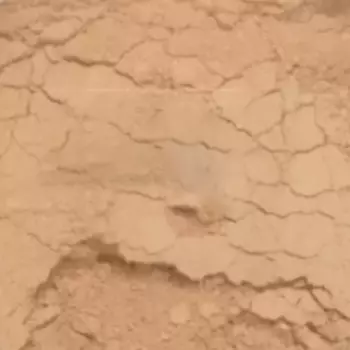 Пудра Камуфляж (AL5041, Тон 1, 10 г)