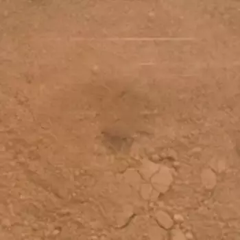 Пудра Камуфляж (AL5044, Тон 4, 10 г)