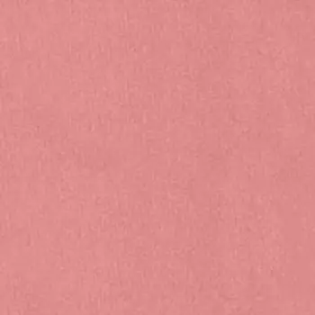 Румяна для лица Blush (420005927, 01, Малина, 5 г)