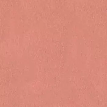 Румяна для лица Blush (420005929, 02, абрикос, 5 г)