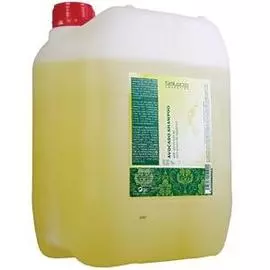 Шампунь с маслом авокадо Avocado Shampoo