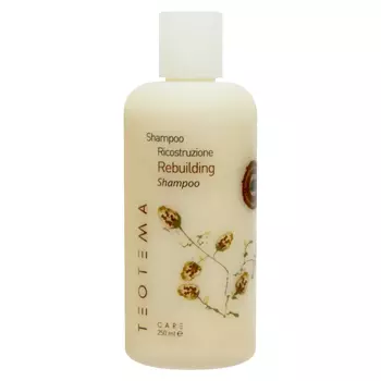 Шампунь Восстанавливающий (>teo4201, 1000 мл)