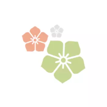 Спрей Прикорневой объем (296 г)