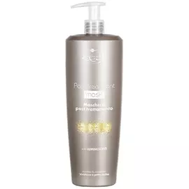 Стабилизирующая маска для волос Inimitable Style (80254, 200 мл)