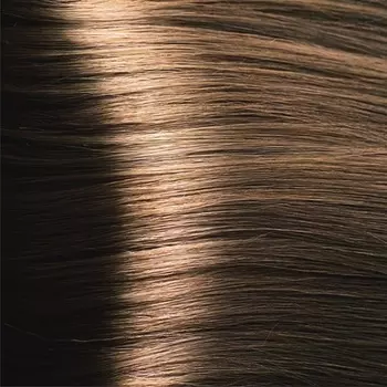 Стойкая краска для волос Topchic в баллоне (00469, 6N@GB, темный блонд с золотисто-бежевым сиянием (золотая кора), 250 мл)