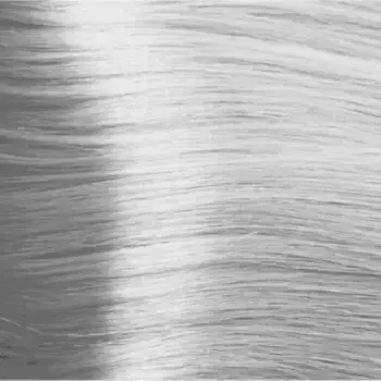 Стойкая крем-краска Color Cream (>teo10MS, 10MS, металлический серебряный, 100 мл)