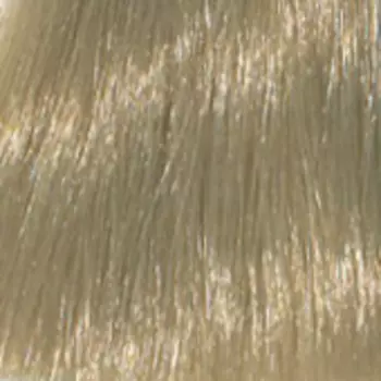 Стойкая крем-краска для волос ААА Hair Cream Colorant (ААА10.0, 10.0, очень-очень светлый блондин, 100 мл, Натуральный)