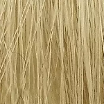 Стойкая крем-краска для волос Aurora (54723, 10.36, пастельный золотой песок, 60 мл, Коллекция светлых оттенков)