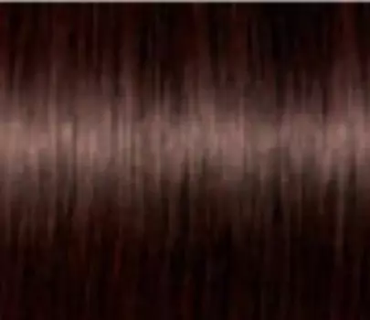 Стойкий краситель для волос с сединой Igora Absоlutes (1 888 880, 4-70, Средний коричневый медный натуральный, Красные/фиолетовые натуральные, 60 мл)