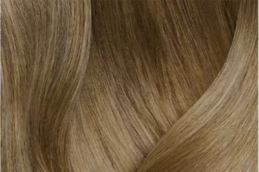 Тонер гелевый с кислым pH Tonal Control (E4006300, 6NGA, темный блондин натуральный золотистый пепельный, 90 мл, Блондин)