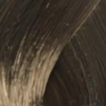 Тонирующая пена против седины для мужчин Alpha Homme (AH4/0, 4/0, Шатен, 10 мл)