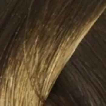 Тонирующая пена против седины для мужчин Alpha Homme (AH6/0, 6/0, темно-русый, 10 мл)