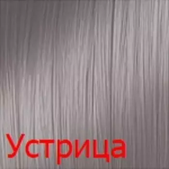 Тонирующий краситель с прямыми пигментами Aurora (CUH002-55027, устрица, пастельно - серый, 100 мл, Коллекция пастельных оттенков)