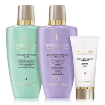 Трехшаговая обновляющая программа Премьер