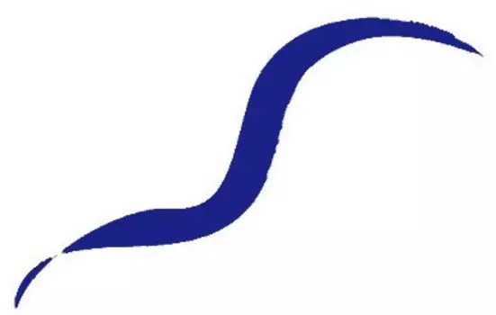 Жидкая подводка для глаз LiquId Eyeliner (6.001.82, 1, 1 мл, Синяя)