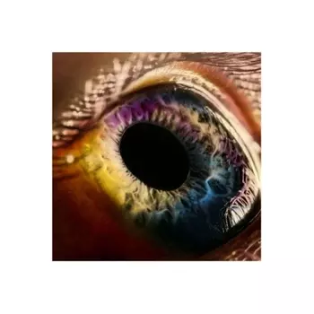 0194399712214, Arcade Fire, WE виниловая пластинка