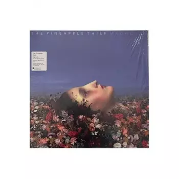0802644813011, Pineapple Thief, The, Magnolia виниловая пластинка