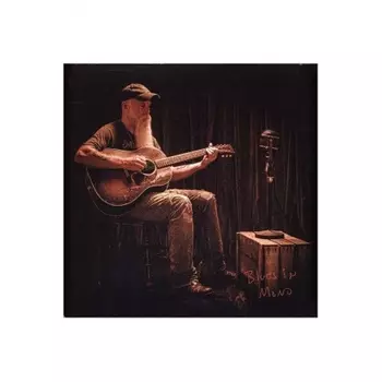 5024545932515, Seasick Steve, Blues In Mono виниловая пластинка