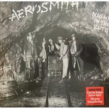 Aerosmith - Night In The Ruts (0602455248657) виниловая пластинка