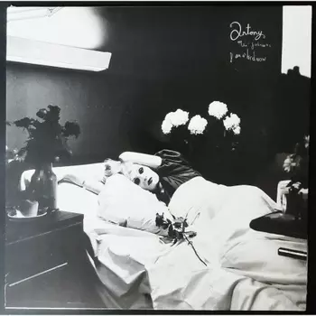 Antony & The Johnsons - I Am A Bird Now (5050159822317) виниловая пластинка