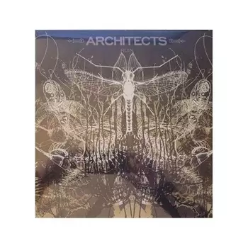 Architects - Ruin (840588158805) виниловая пластинка