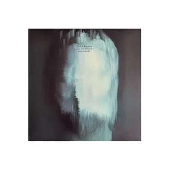 Arnalds, Olafur, Some Kind Of Peace - Piano Reworks (0602438934829) виниловая пластинка
