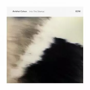 Avishai Cohen - Into The Silence (0602547600912) виниловая пластинка