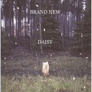 Brand New - Daisy (0602527176307) виниловая пластинка