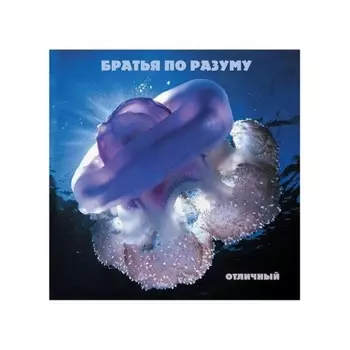 Братья По Разуму - Отличный (4620032918348) виниловая пластинка