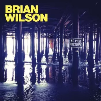 Brian Wilson, No Pier Pressure (0602537918959) виниловая пластинка