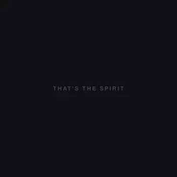 Bring Me The Horizon, That’S The Spirit (LP, CD) (0888751309012) виниловая пластинка