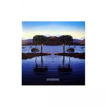 Bruce Dickinson - Skunkworks (4050538288384) виниловая пластинка