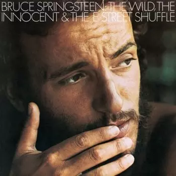 Bruce Springsteen - The Wild, The Innocent & The E Street Shuffle (0888750142313) виниловая пластинка