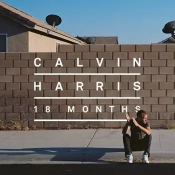 Calvin Harris - 18 Months (0886978592316) виниловая пластинка