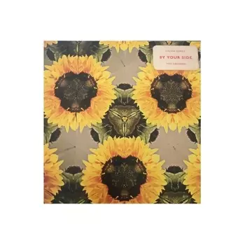 Calvin Harris - By Your Side (V12) (picture) (0194399306413) виниловая пластинка