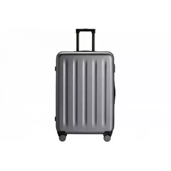 Чемодан NINETYGO Danube Luggage 20" серый