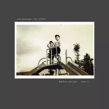 Chihei Hatakeyama; Shun Ishiwaka - Magnificent Little Dudes (5060708611125) виниловая пластинка