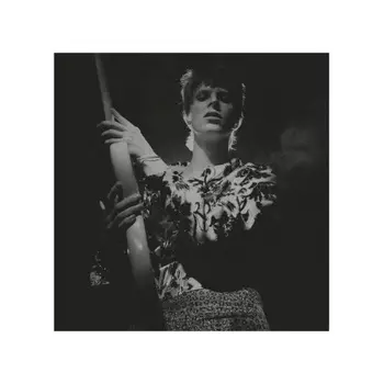 David Bowie - Rock 'N' Roll Star! (5054197623554) виниловая пластинка